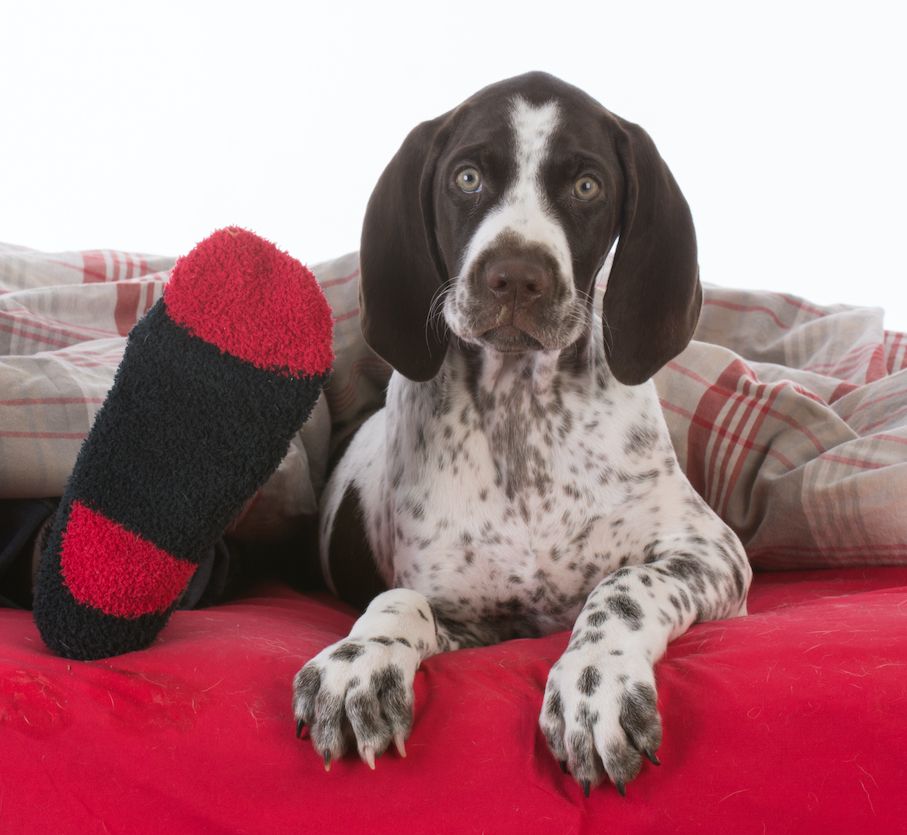 Editorial: December 10, 2021